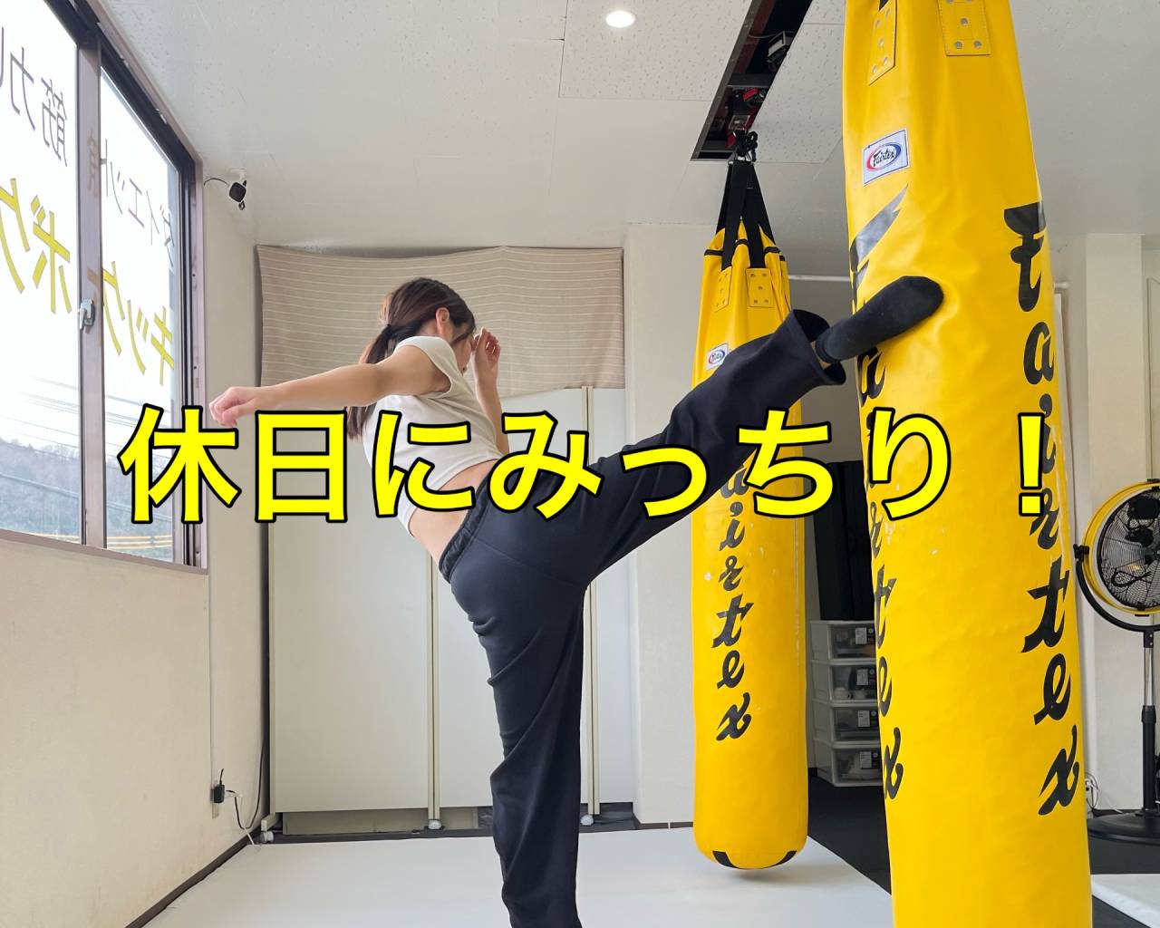 週1‣2回コース